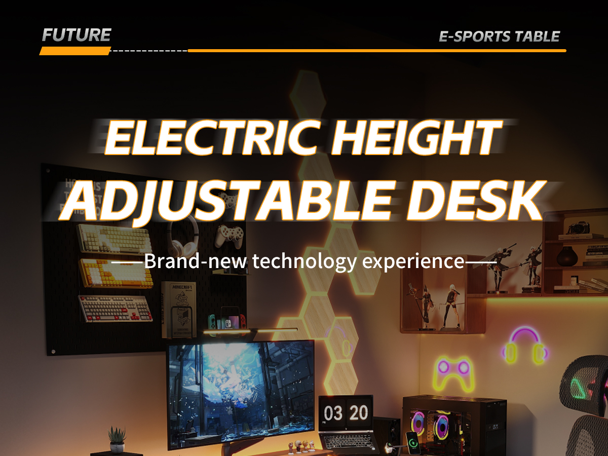 Electric Standing Desk T2（No Drawer）