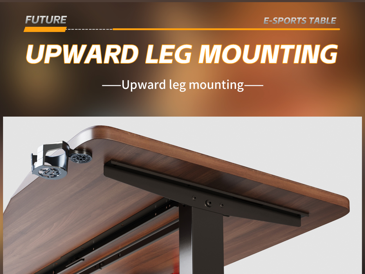 Electric Standing Desk T2（No Drawer）