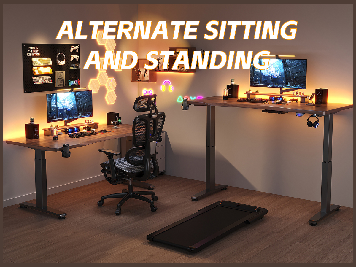 Electric Standing Desk T2（No Drawer）