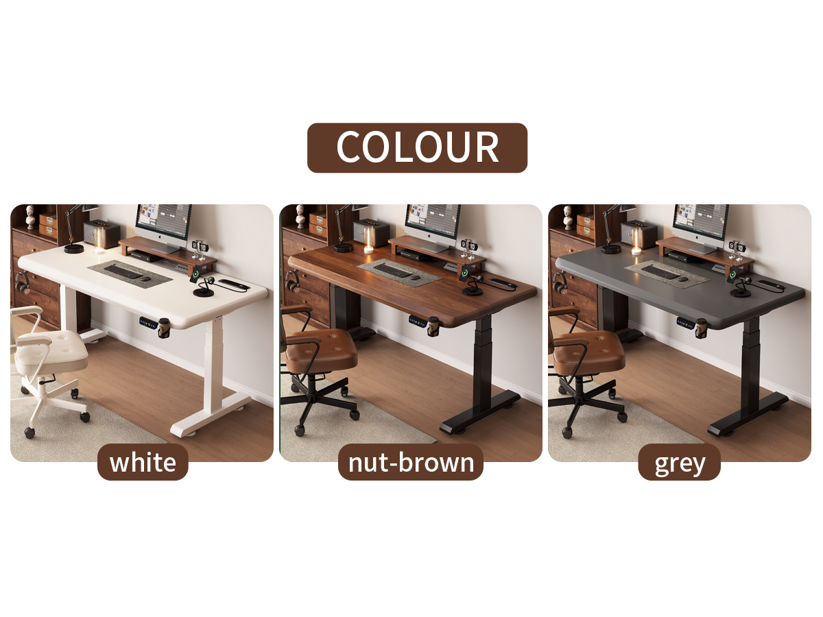 Electric Standing Desk T1
