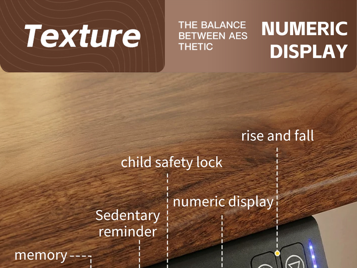 Electric Standing Desk T1
