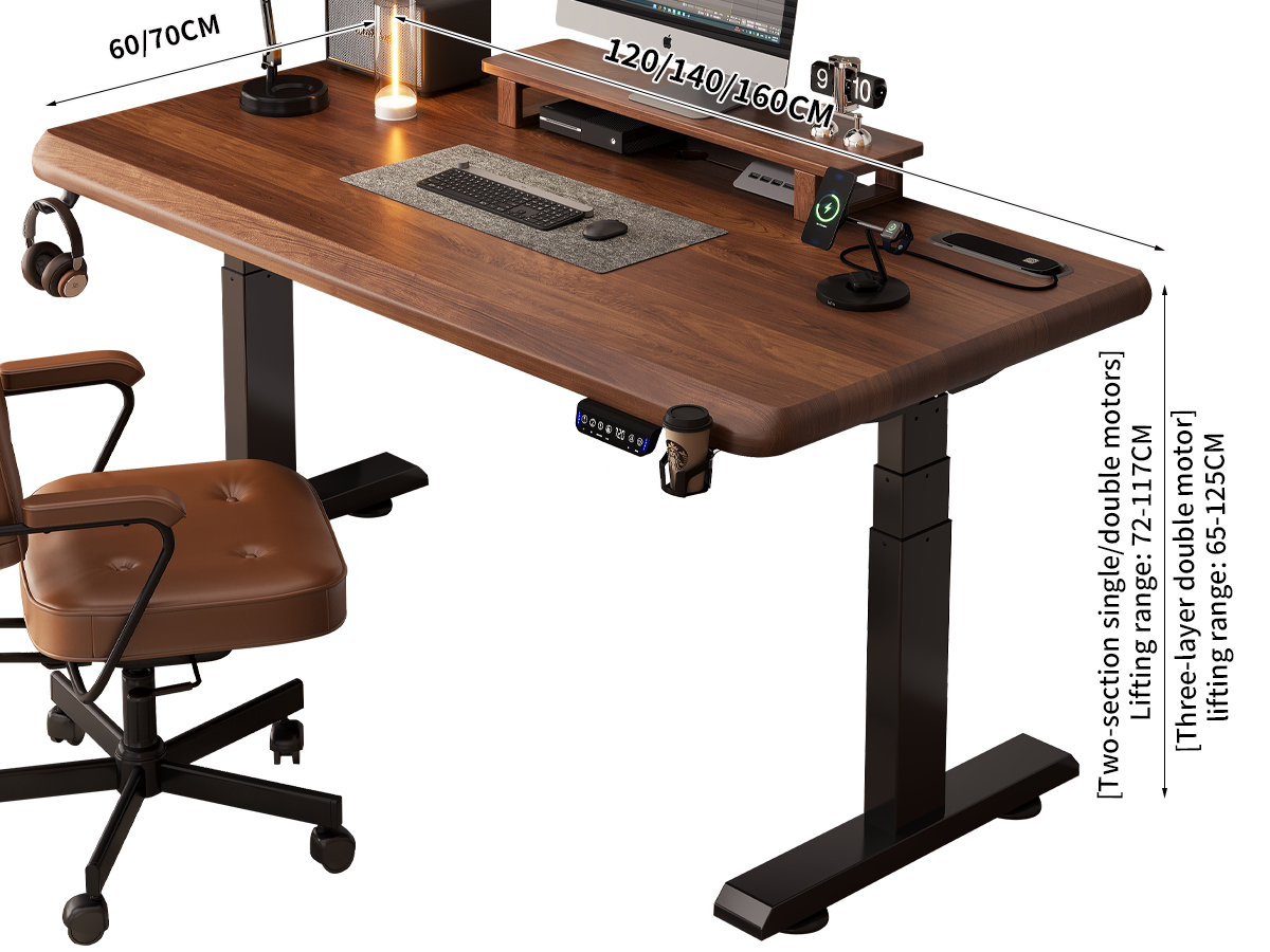 Electric Standing Desk T1