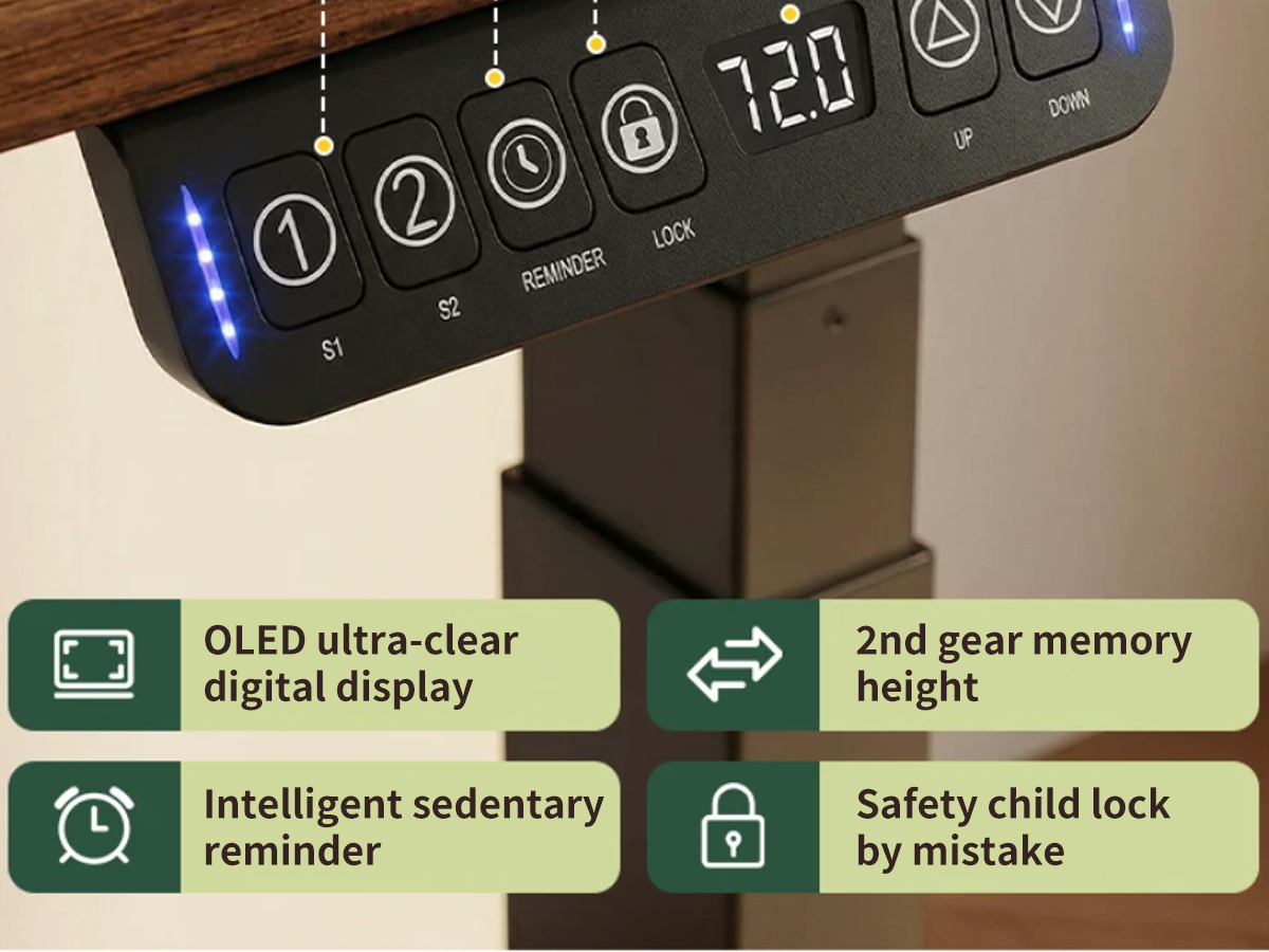 Electric Standing Desk T1