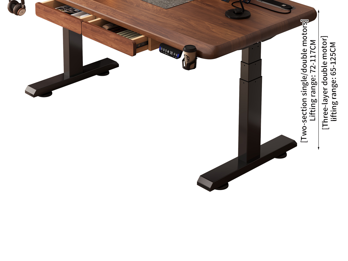 Electric Standing Desk  T6