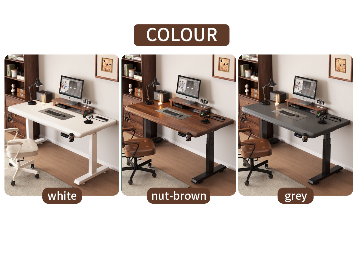 Electric Standing Desk  T6