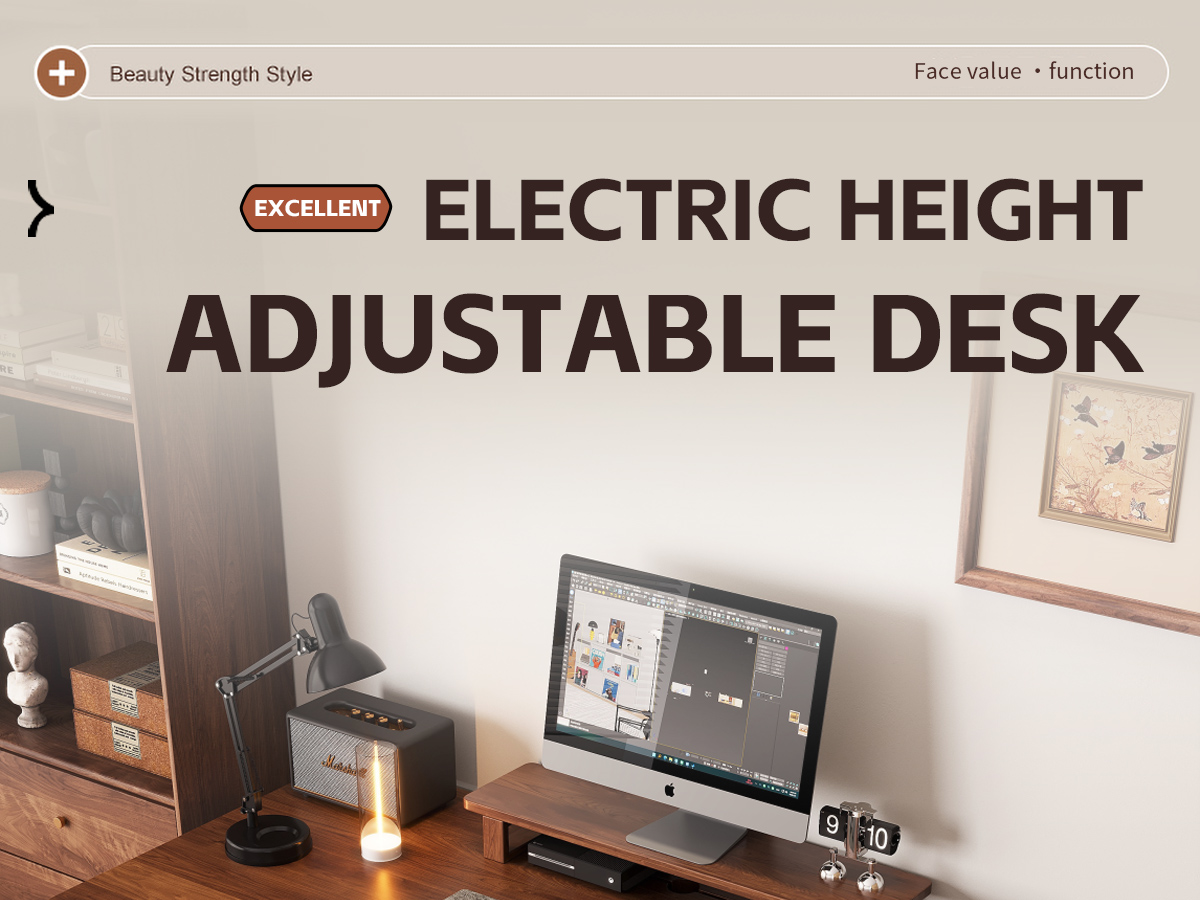 Electric Standing Desk  T6