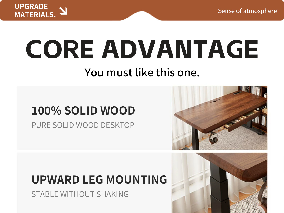 Electric Standing Desk  T6