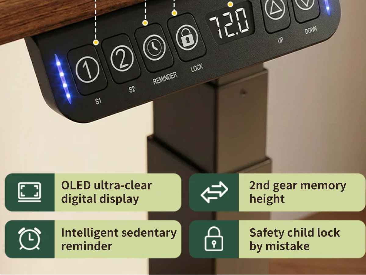 Electric Standing Desk  T6
