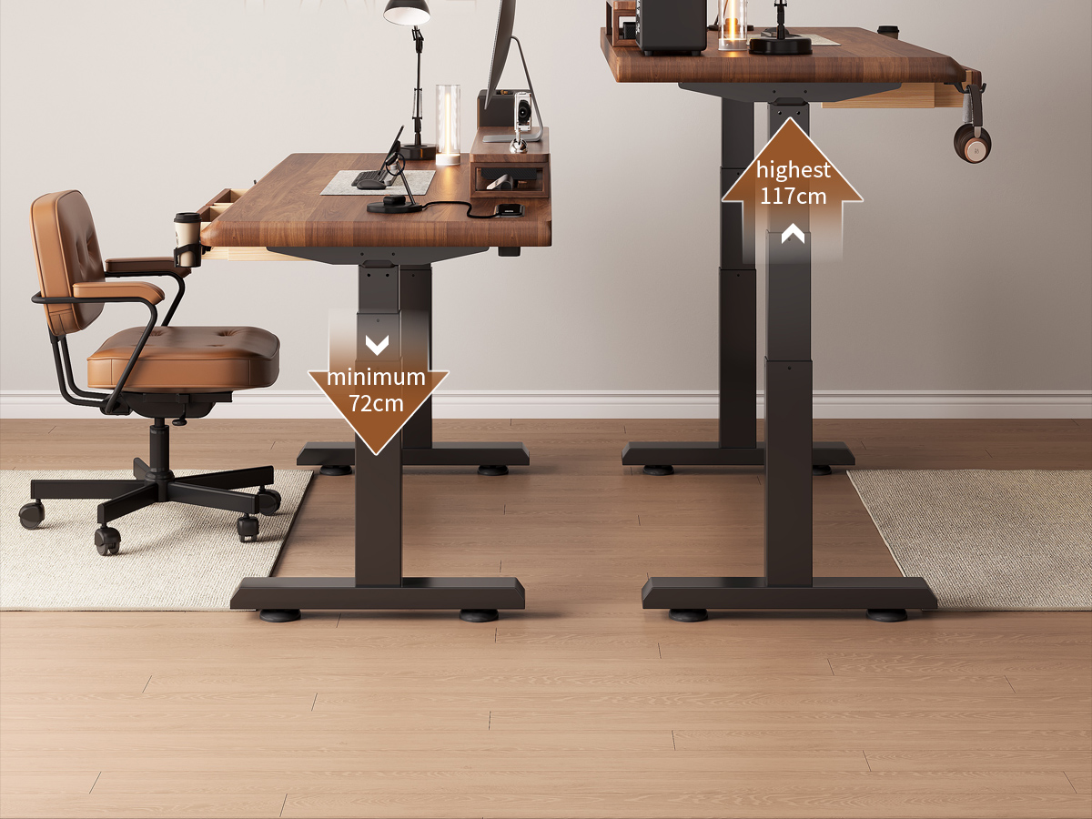 Electric Standing Desk  T6
