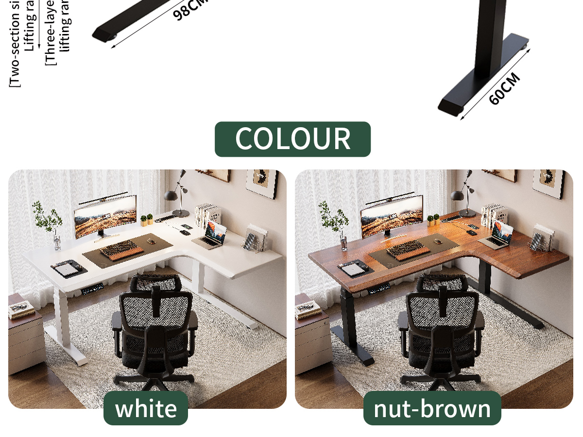 Electric Standing Desk T3