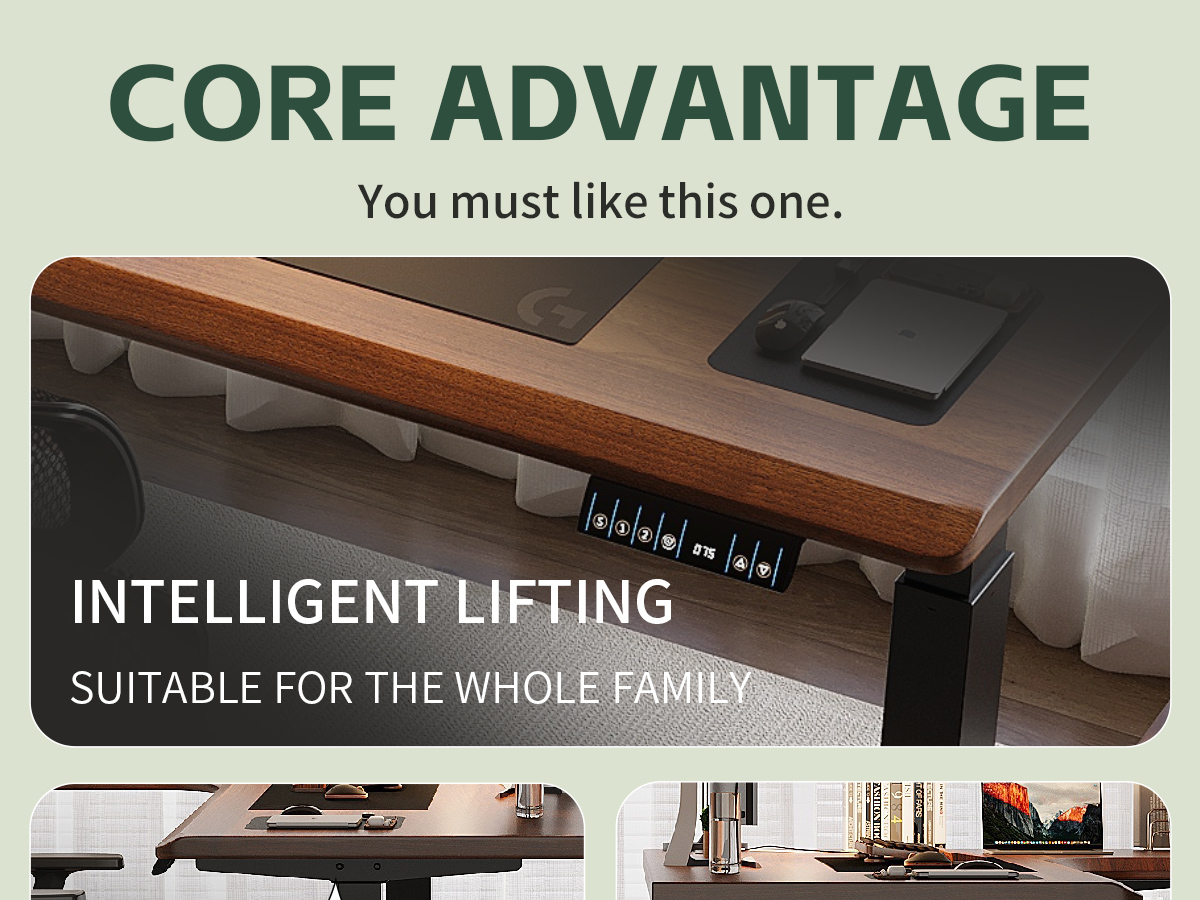 Electric Standing Desk T3