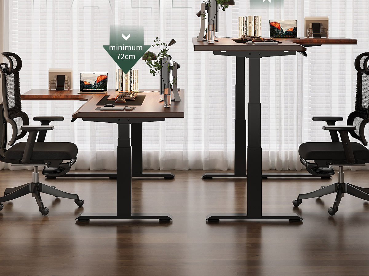 Electric Standing Desk T3