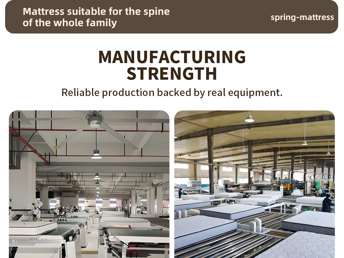 Spring Mattress-M1